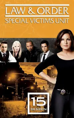 постер Закон и порядок. Специальный корпус 15 сезон